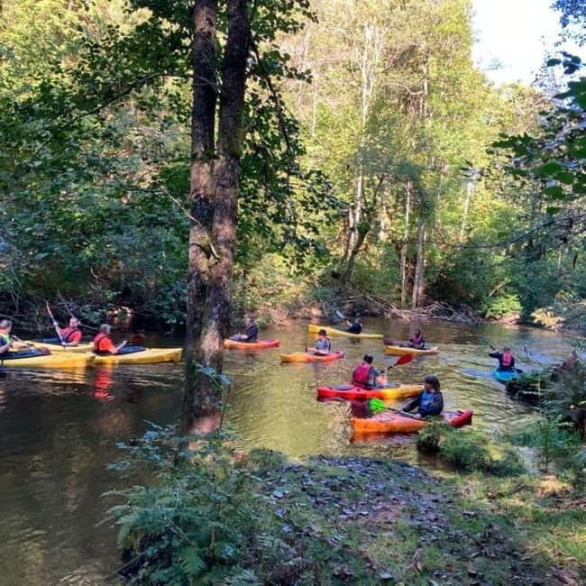 Dals Långed: Steneby River Kayaking Tour - What to Expect During the Tour