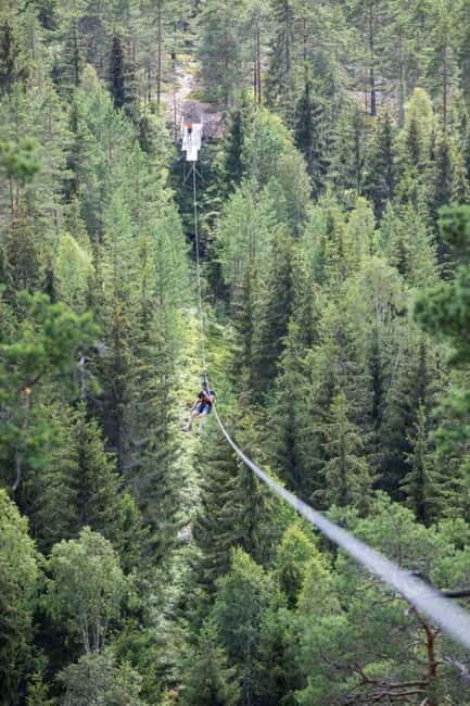 Dals Långed: Zipline Adventure at Steneby Gård - The Details: Price, Duration, and What’s Included