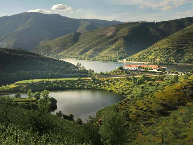 Dão Private Tour: Visit 3 Wineries with Tastings & Lunch - Why This Tour Is Worth Considering