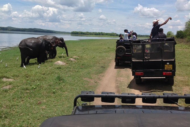 Day Tour from kandy to Sigiriya, Dambulla & National Park safari. - Key Points