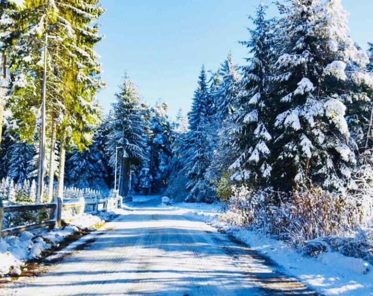 Day Tour: Ski Borovets & Relax in Thermal Pools and Sauna - Lunch in the Mountains: Traditional Bulgarian Flavors