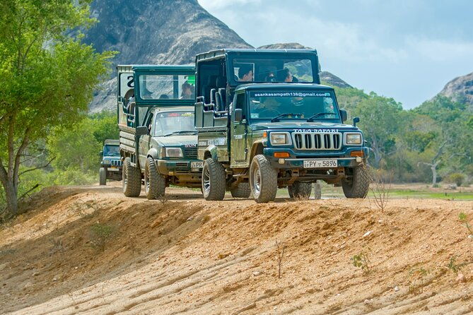 Day Tour to Wilpattu National Park from Colombo - Key Points