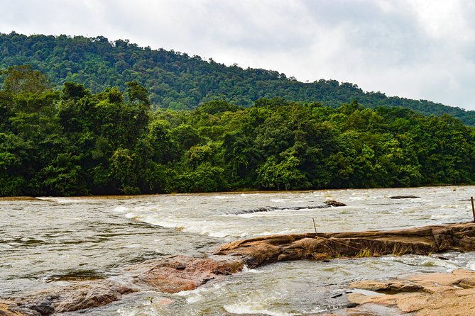 Day Trip to Athirappilly Water Falls from Kochi. - A Closer Look at the Experience  
