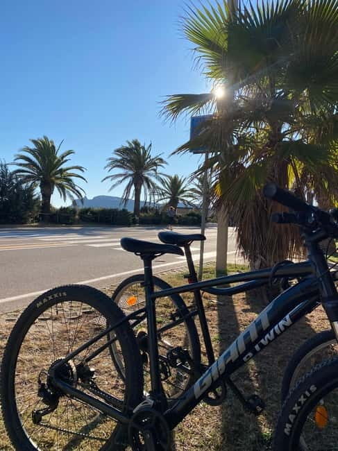 Delivery bike for 6hours Castello/Molentargius/Poetto/Quartu - What Can You Expect During the 6 Hours?
