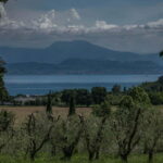 Desenzano d/G: guided bike day trip + selected wines, cooking class - Cooking Class: Traditional Dishes and Award-Winning Wines