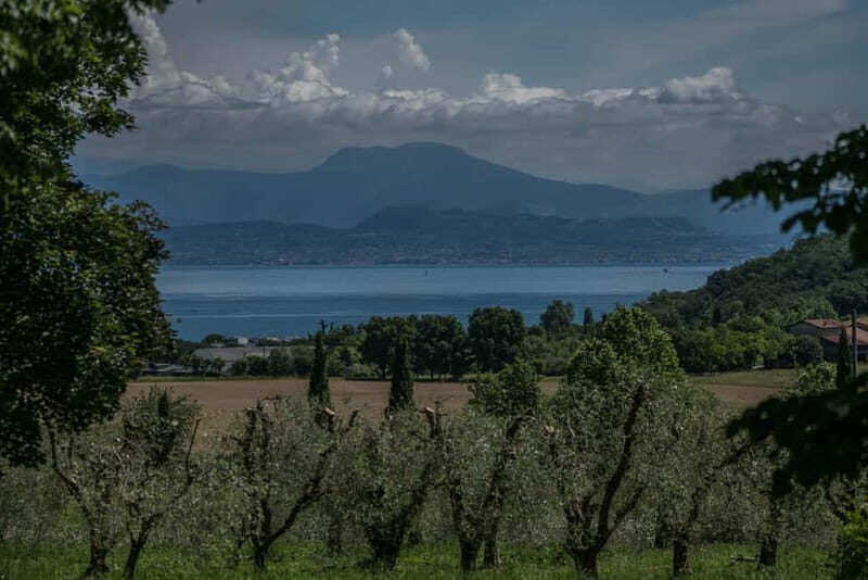 Desenzano d/G: guided bike day trip + selected wines, cooking class - Cooking Class: Traditional Dishes and Award-Winning Wines