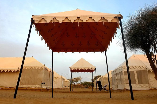 Desert Tour with Camel Safari, jeep safari - accommodation in luxury Swiss tent - Introduction