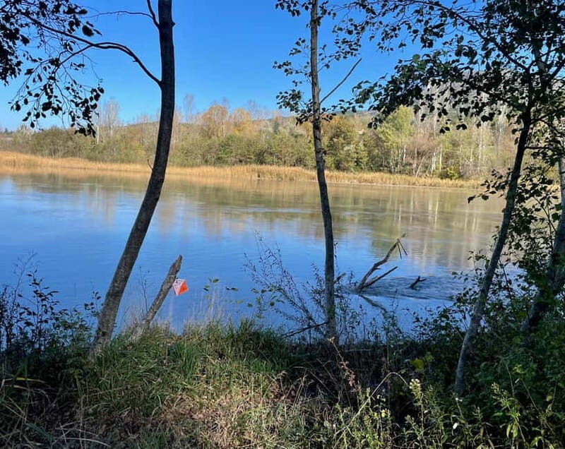 Detective Club: a nature investigation game for the whole family! - Who Should Consider This Tour?