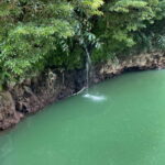 Discover and Hike São Miguel with Rúben - Who Will Love This Tour?