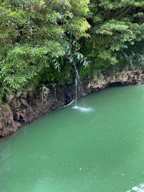 Discover and Hike São Miguel with Rúben - Who Will Love This Tour?