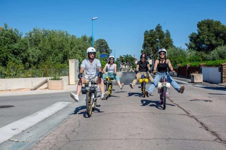 Discover Argeles and its landscapes on a solex - What to Expect During Your Solex Tour