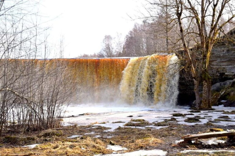 Discover Estonia - car tour from Tallinn to Jägala Waterfall - The Sum Up