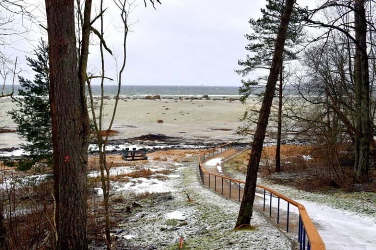 Discover Estonia-car tour from Tallinn to Keila-Joa Waterfal - Practical Details and What You Should Know
