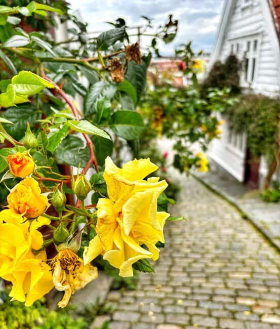 Discover Private+ Stavanger Guided City Tour - Exploring Stavanger with a Personal Touch