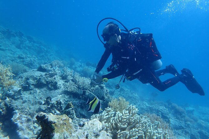 Discover Scuba Diving at Phu Quoc Island - Discover Scuba Diving at Phu Quoc Island