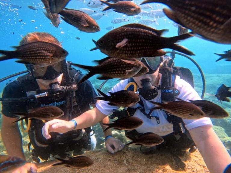 Discover Scuba Diving Experience - What Makes This Experience Special?