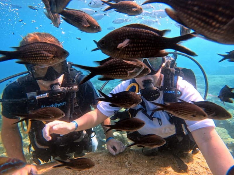 Discover Scuba Diving Experience - What Makes This Experience Special?