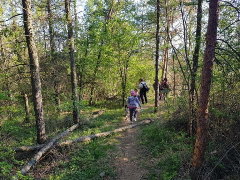 Discover the Charm of Guteria Hill/Sibiu Panorama - Who Will Enjoy This Tour?