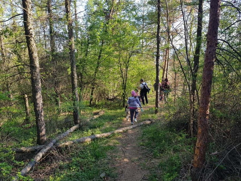 Discover the Charm of Guteria Hill/Sibiu Panorama - Who Will Enjoy This Tour?