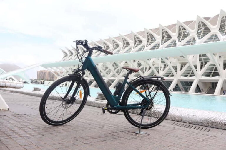 Discover Valencia by bike  Dutch-speaking tour - What Travelers Love (and What Could Be Better)