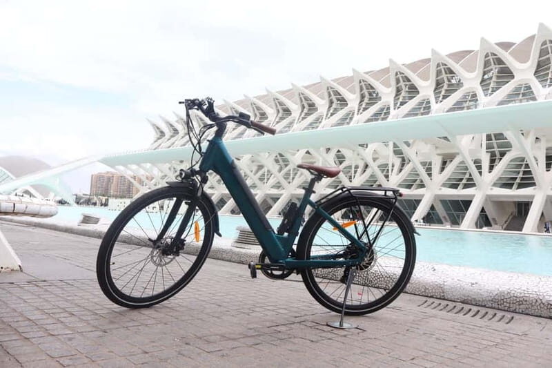 Discover Valencia by bike  Dutch-speaking tour - What Travelers Love (and What Could Be Better)
