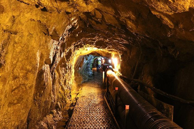 DMZ Tour: 3rd Tunnel, Option(Suspension Bridge, Boat) from Seoul - Key Points