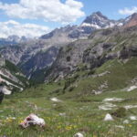 Dolomites of Cortina: Hiking Experience with a local Guide - The Itinerary: A Closer Look at Your Mountain Day