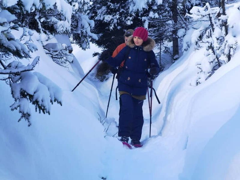 Dolomites of Cortina: Winter Hiking & Sledding Experience - FAQs