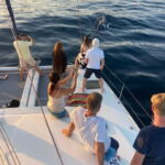 Dolphin watching in Estepona - Practical Details and What To Bring