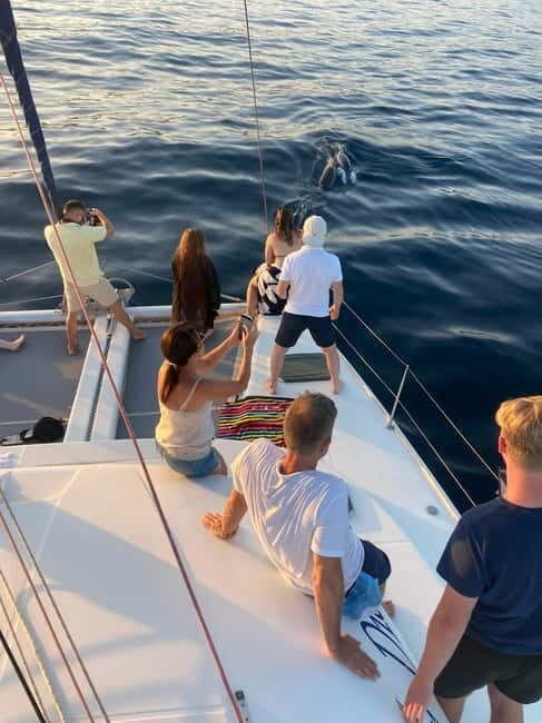 Dolphin watching in Estepona - Practical Details and What To Bring