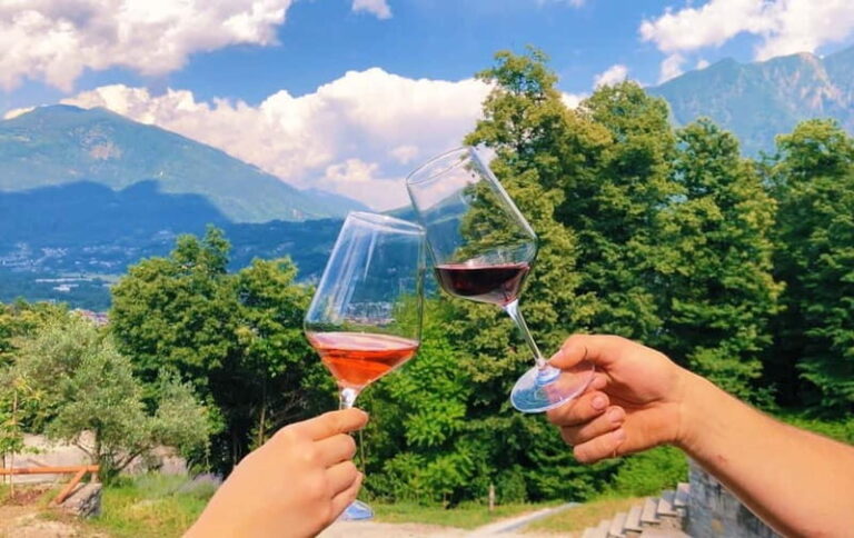Domodossola: Savor Wines & Local Treats in a Scenic Vineyard - Who Will Appreciate This Tour?