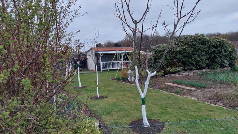 Dortmund: Allotment Garden Tour - Practical Details and What to Expect