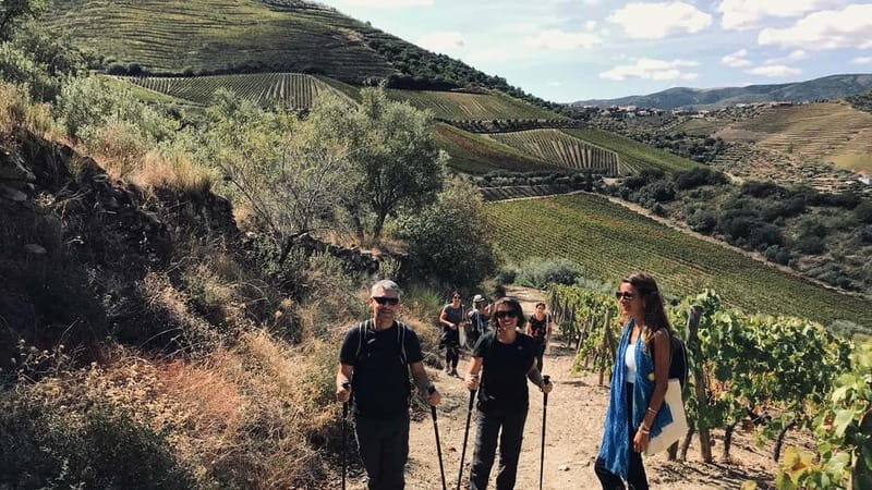 Douro: exclusive experience to Niepoort with paired lunch - The Value and Practicalities