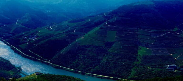 DOURO PREMIUM - What Sets This Tour Apart?