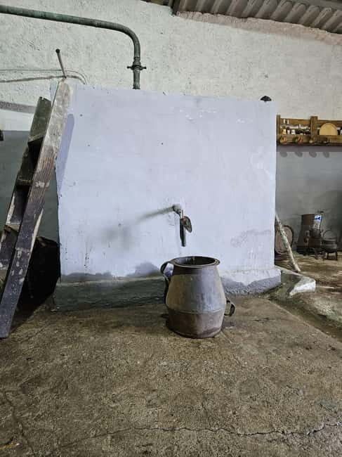 Douro: Traditional Harvest Lunch at Quinta de Sobre a Fonte - An In-Depth Look at the Experience
