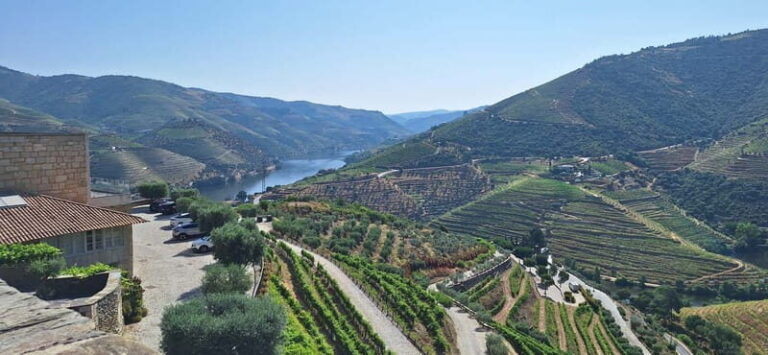 Douro Valley: 2 Wineries, Lunch & Boat - Why This Tour Is a Great Choice