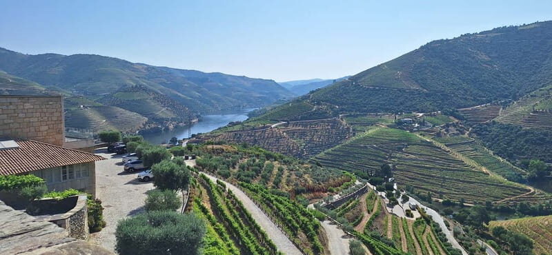 Douro Valley: 2 Wineries, Lunch & Boat - Why This Tour Is a Great Choice