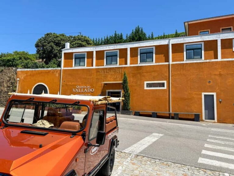 Douro Valley: 4x4 Safari and Vineyard Visit - A Closer Look at the Itinerary