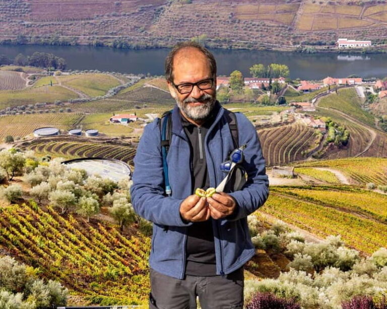 Douro Valley: Provesende and São Cristóvão Guided Hike - What Makes This Guided Hike Special?