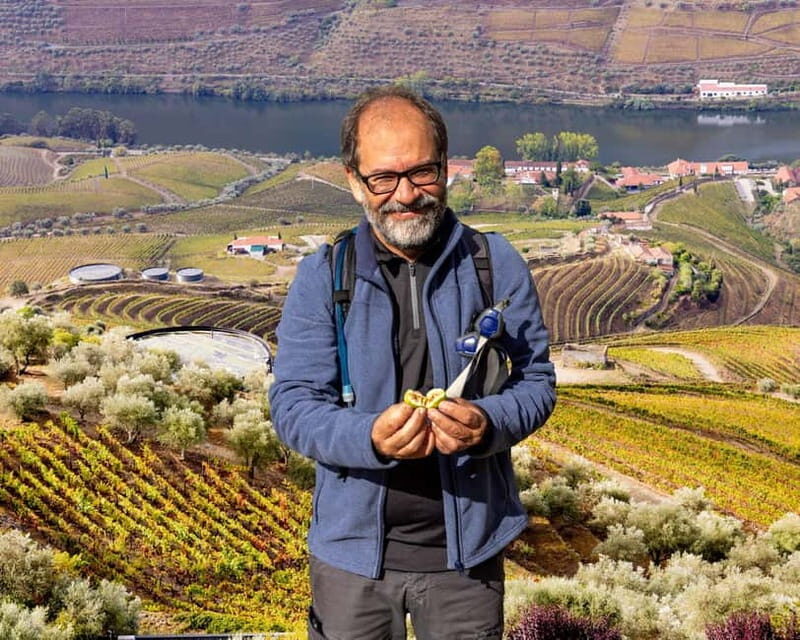 Douro Valley: Provesende and São Cristóvão Guided Hike - What Makes This Guided Hike Special?