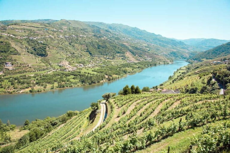 Douro Valley: Real Small-Group, Wine Tasting, Lunch & Boat - The Authentic Value of This Tour