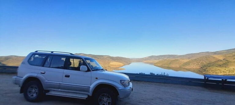 Douro Valley: Wine & Chocolate Tour in the Wine Region - Who Will Love This Tour?