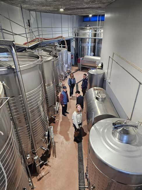 Douro Valley: Wine, History, and Ferdinand Magellan Tour - Who Is This Tour Best For?