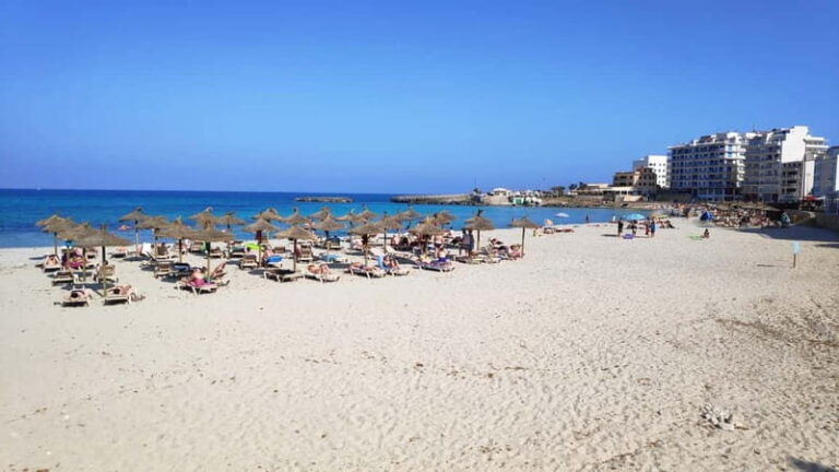 Drach Caves and Palma or Beach Retreat  Full-Day Tour - Exploring the Itinerary in Detail