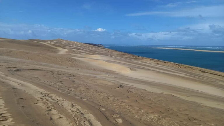 Dune du Pilat, Oysters Tasting and Arcachon! What else ? - In-Depth Look at the Experience