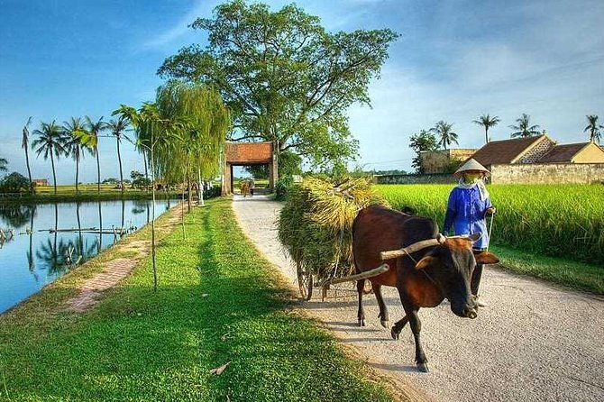 Duong Lam Ancient Village full day tour from Hanoi & experiencing local life - Key Points
