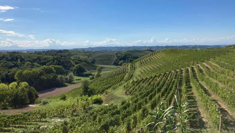E-Bike Rental in Roero - The Scenic Routes: What You’ll See and Do