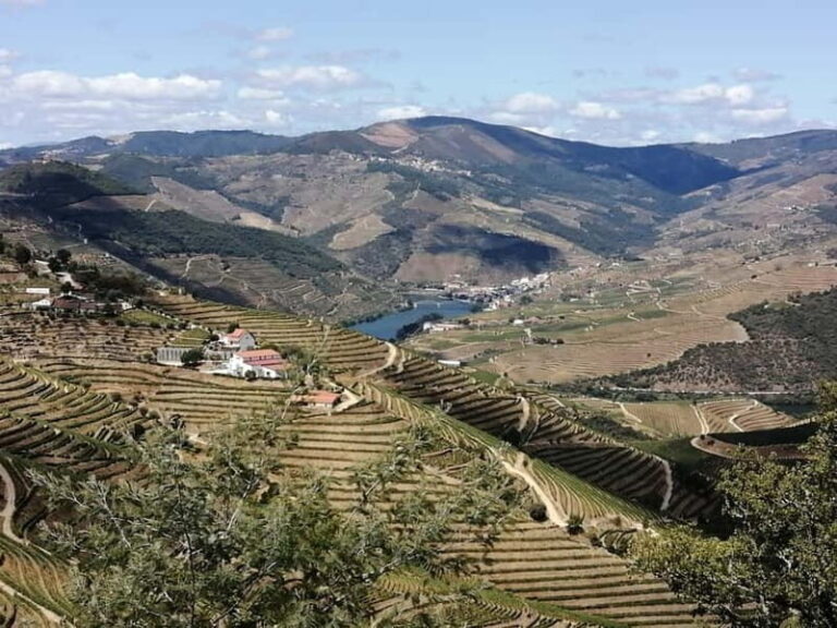 e-Bike Through Douro Valley Wine Region for Half Day Tour - The Experience: What Makes It Special