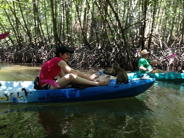 Early bird kayak at AO Thalane - Key Points