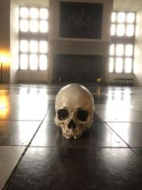 Easy Pace Tour of Kronborg Castle and Frederiksborg Palace - A Detailed Look at the Tour Experience